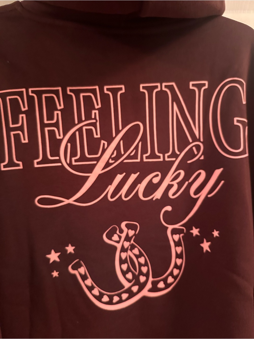 WILO the Label Lucky Horseshoe Chocolate Hoodie - NWT! Size Medium - Picture 7 of 7